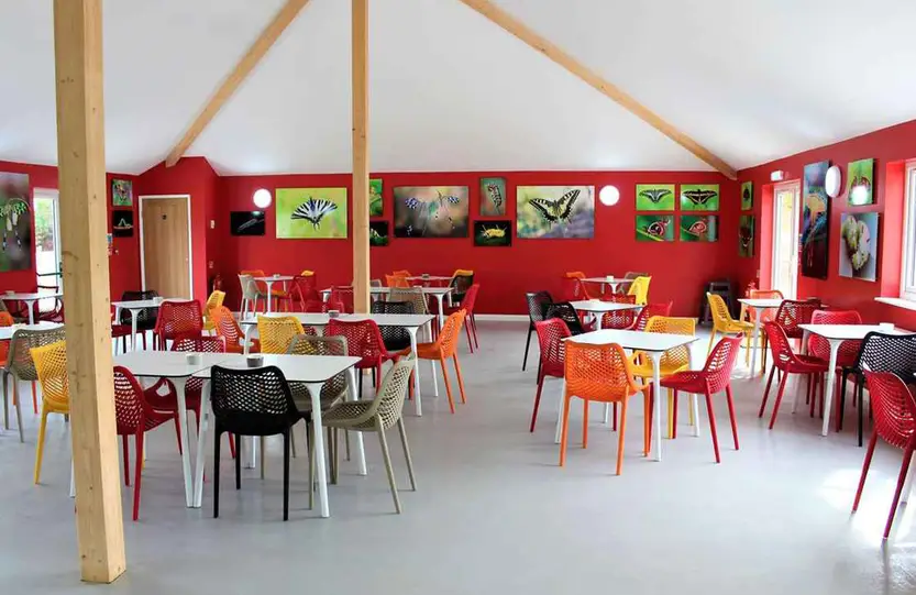 Alt text: Bright and spacious café at The Bug Parc with colourful seating, butterfly artwork on red walls and tables for visitors.