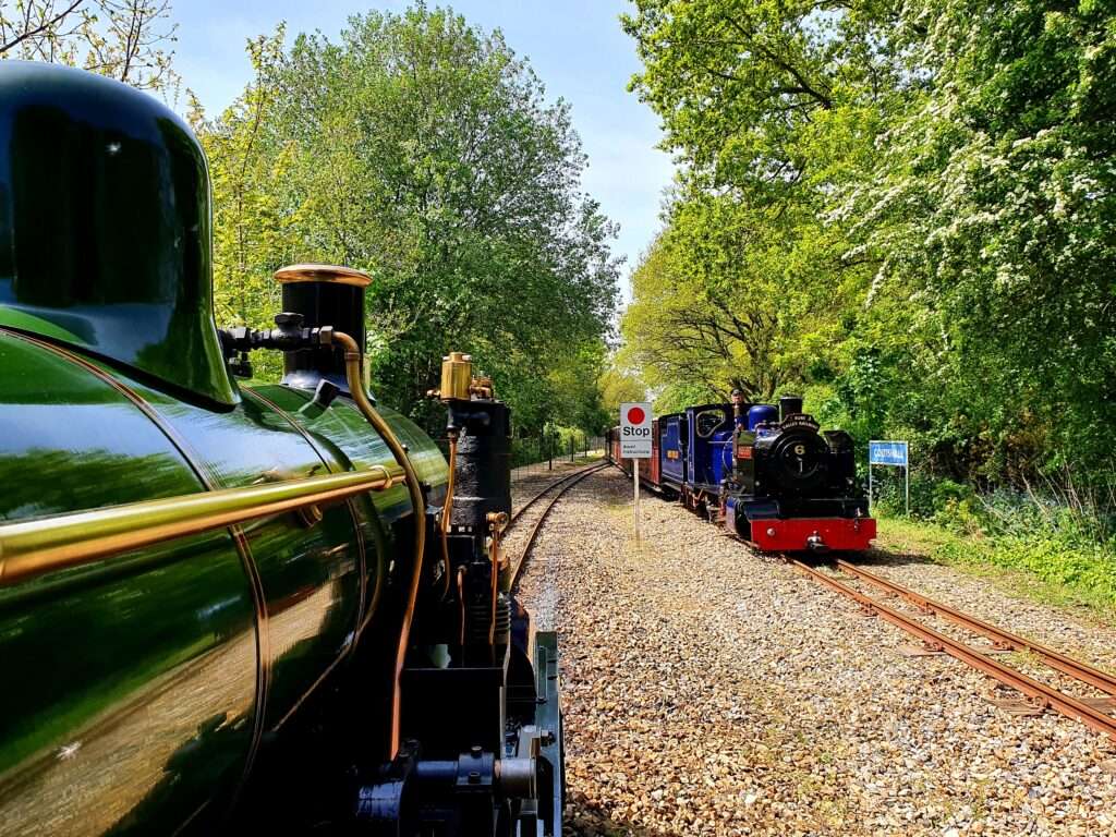 Steam locomotive passing through leafy woodland along the Bure Valley Railway during spring.