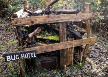 Bug Hotel at Ladybelt Country Park