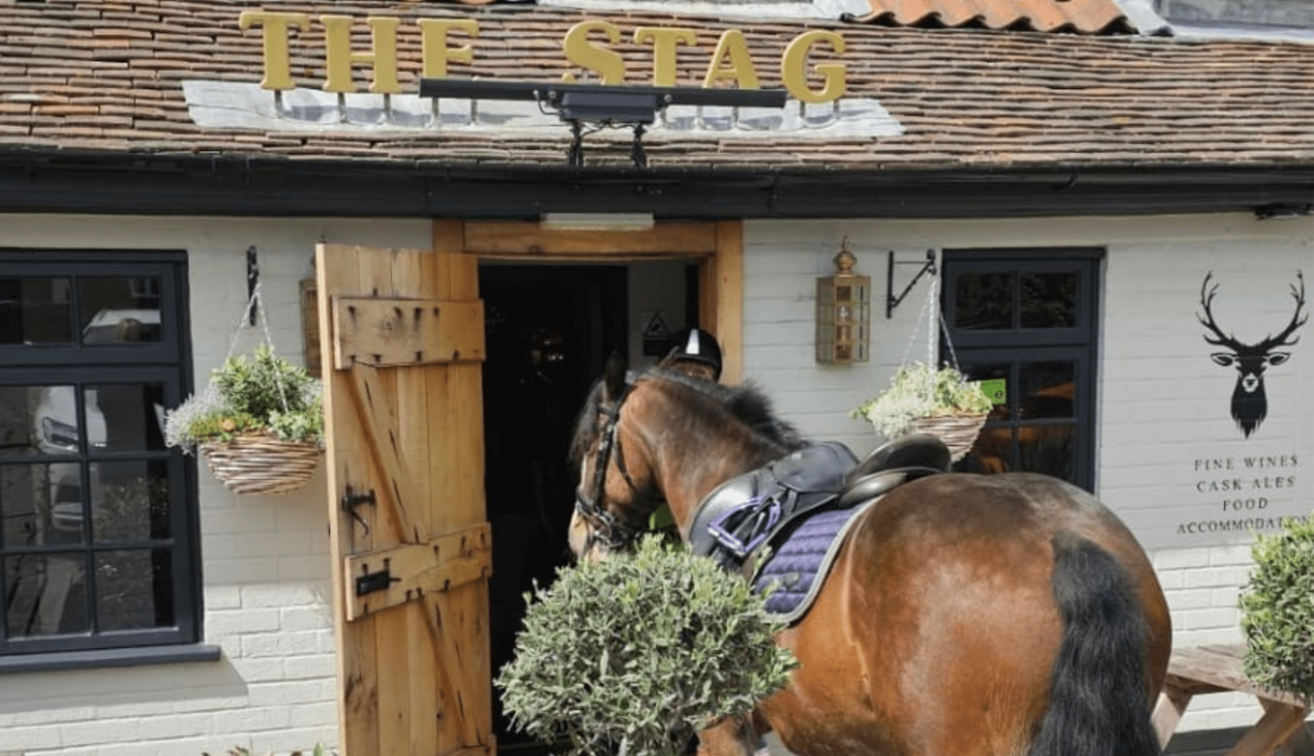 The Stag Salhouse