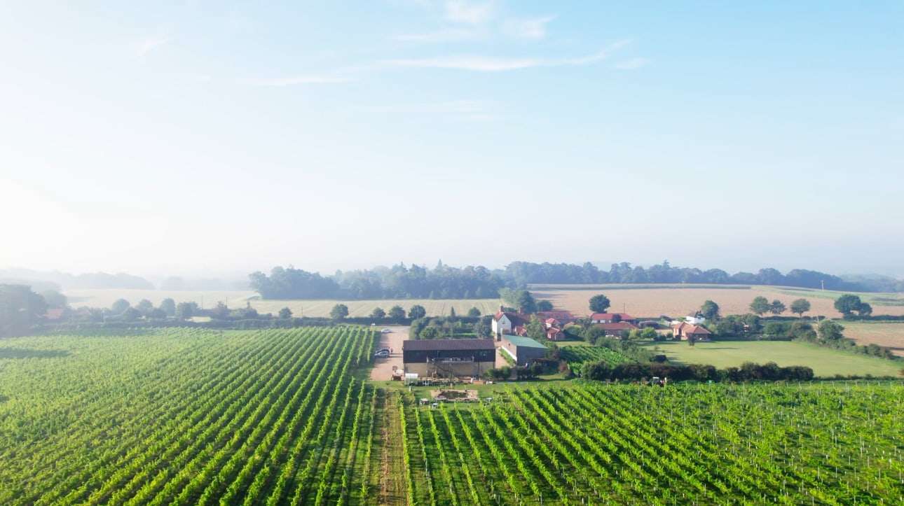 Early morning aerial view across the Norfolk countryside with fields, hedgerows and distant woodland under a clear sky.