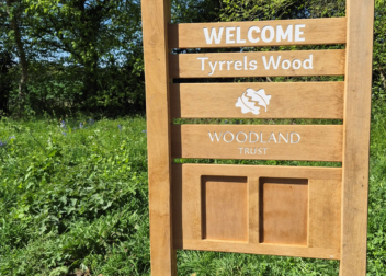 Welcome to Tyrrell's Wood