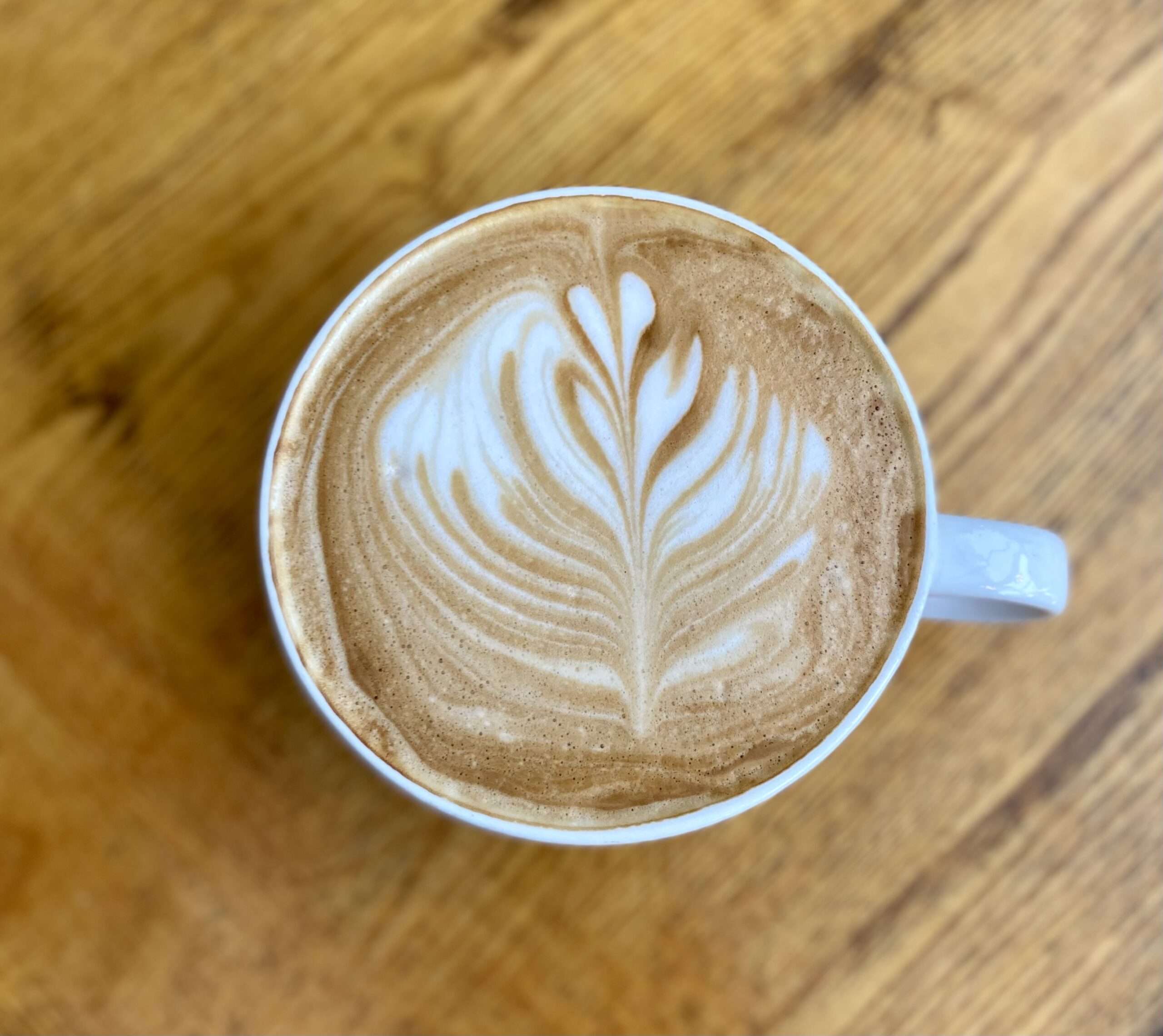 Barista-style latte with leaf-pattern latte art served in a white cup at Scooters Café.