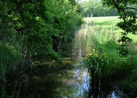 Green Spaces