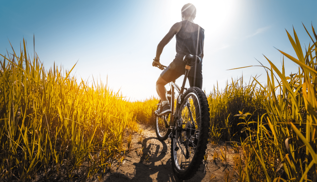 Cyclist on a rural trail surrounded by golden grass and evening sunlight.