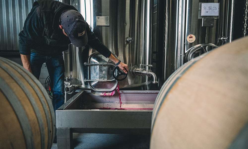 Winemaker transferring wine during the production process inside a modern winery, surrounded by stainless steel fermentation tanks.